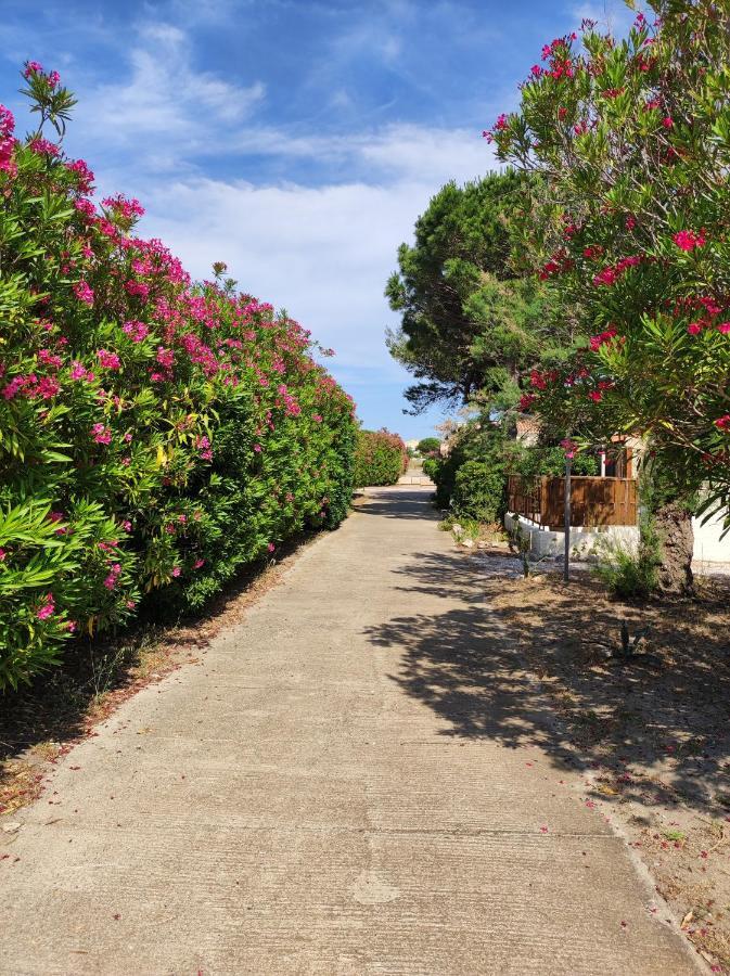 Coquette Villa De Vacances Le Barcarès Eksteriør bilde